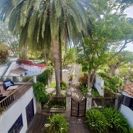 Apartamento Con Arte E Historia En El Corazon De La Orotava